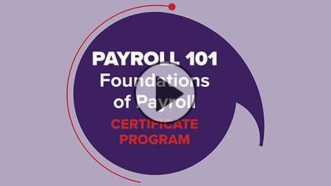 PAYO-Payroll-101